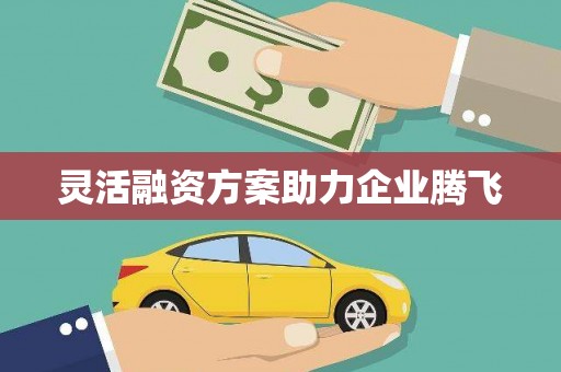 海东灵活融资方案助力企业腾飞