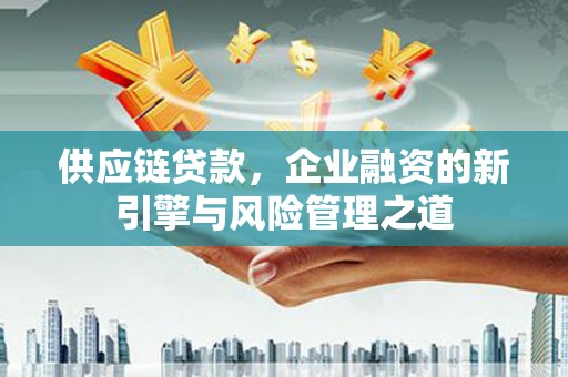海东供应链贷款，企业融资的新引擎与风险管理之道
