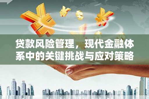 海东贷款风险管理，现代金融体系中的关键挑战与应对策略