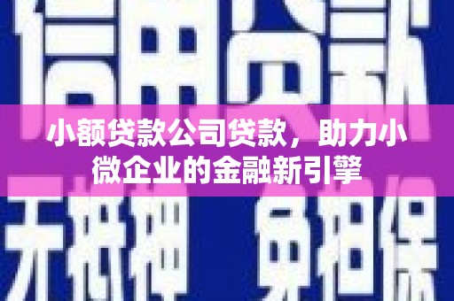 海东小额贷款公司贷款，助力小微企业的金融新引擎