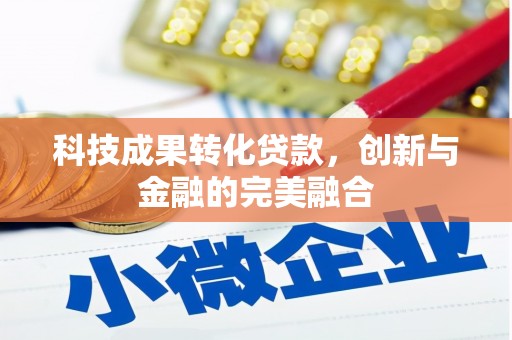 海东科技成果转化贷款，创新与金融的完美融合