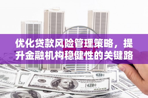 海东优化贷款风险管理策略，提升金融机构稳健性的关键路径