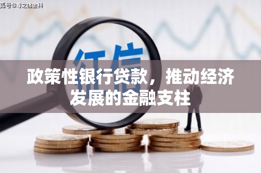 海东政策性银行贷款，推动经济发展的金融支柱