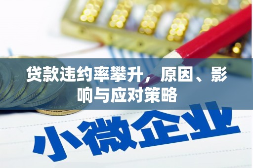 海东贷款违约率攀升，原因、影响与应对策略