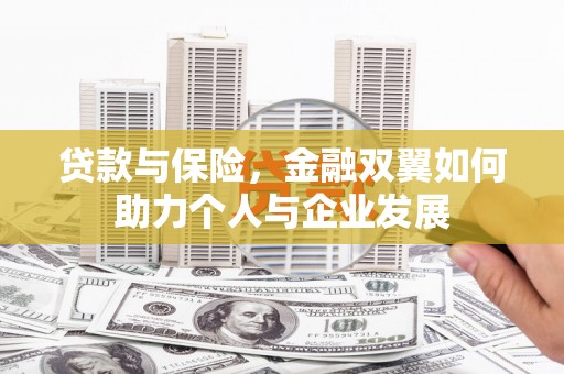 海东贷款与保险，金融双翼如何助力个人与企业发展