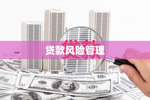 海东贷款风险管理