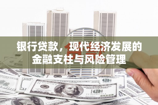 海东银行贷款，现代经济发展的金融支柱与风险管理