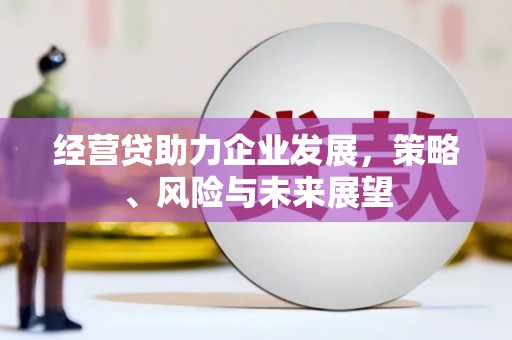 海东经营贷助力企业发展，策略、风险与未来展望
