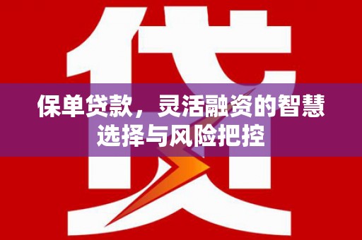 海东保单贷款，灵活融资的智慧选择与风险把控