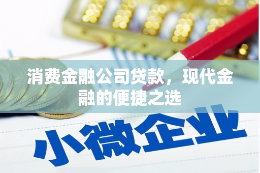 海东消费金融公司贷款，现代金融的便捷之选