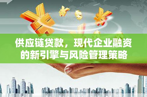 海东供应链贷款，现代企业融资的新引擎与风险管理策略