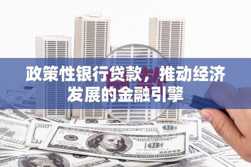 海东政策性银行贷款，推动经济发展的金融引擎