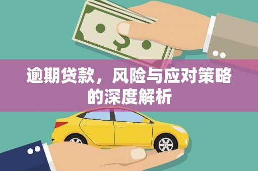 海东逾期贷款，风险与应对策略的深度解析