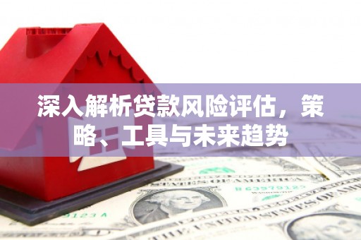 海东深入解析贷款风险评估，策略、工具与未来趋势