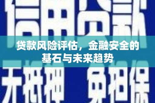海东贷款风险评估，金融安全的基石与未来趋势