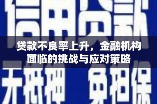 海东贷款不良率上升，金融机构面临的挑战与应对策略