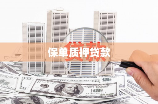 海东保单质押贷款