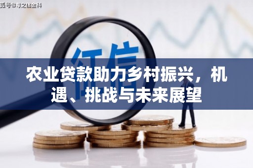 海东农业贷款助力乡村振兴，机遇、挑战与未来展望