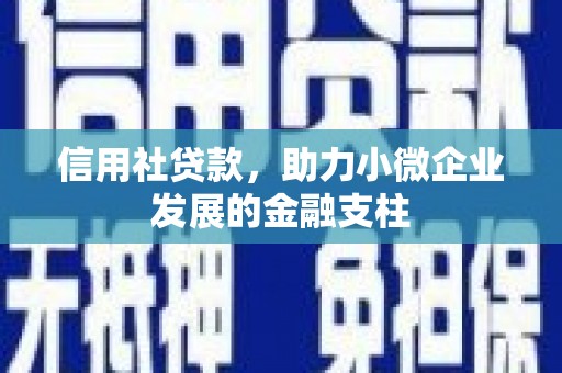 海东信用社贷款，助力小微企业发展的金融支柱