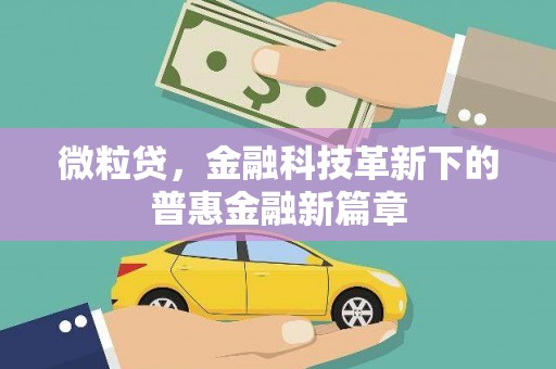 海东微粒贷，金融科技革新下的普惠金融新篇章
