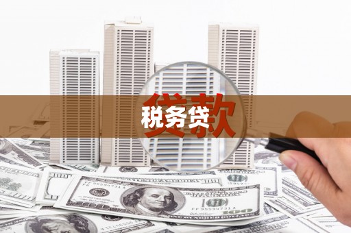 海东税务贷