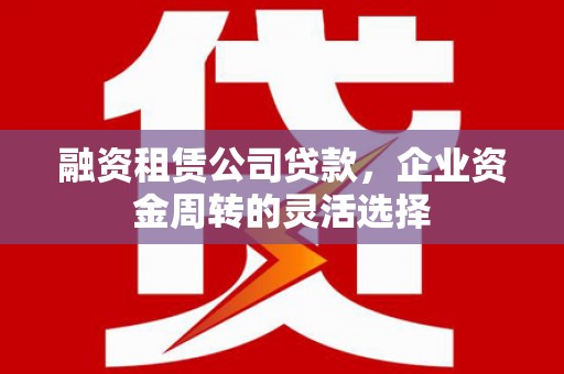 海东融资租赁公司贷款，企业资金周转的灵活选择
