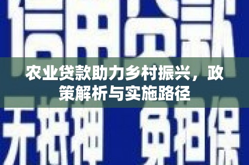 海东农业贷款助力乡村振兴，政策解析与实施路径
