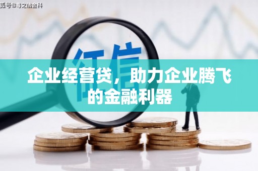 海东企业经营贷，助力企业腾飞的金融利器