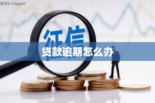 海东贷款逾期怎么办