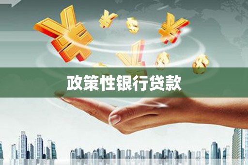 海东政策性银行贷款