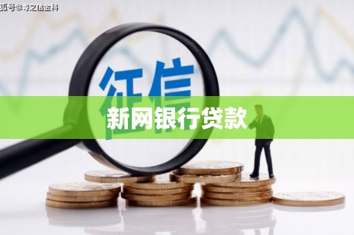 海东新网银行贷款