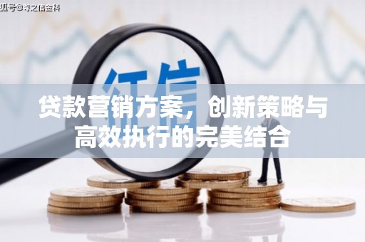海东贷款营销方案，创新策略与高效执行的完美结合