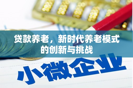 海东贷款养老，新时代养老模式的创新与挑战