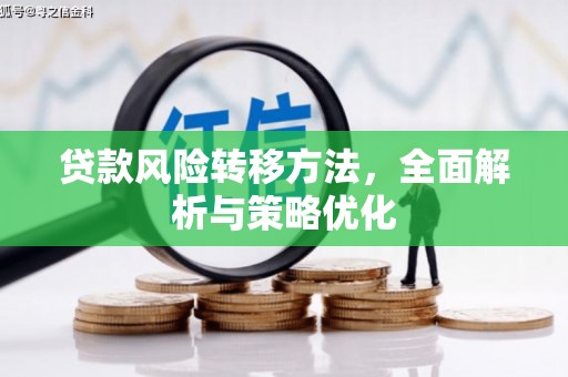 海东贷款风险转移方法，全面解析与策略优化
