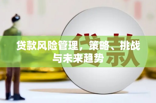 海东贷款风险管理，策略、挑战与未来趋势