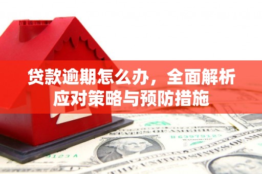 海东贷款逾期怎么办，全面解析应对策略与预防措施
