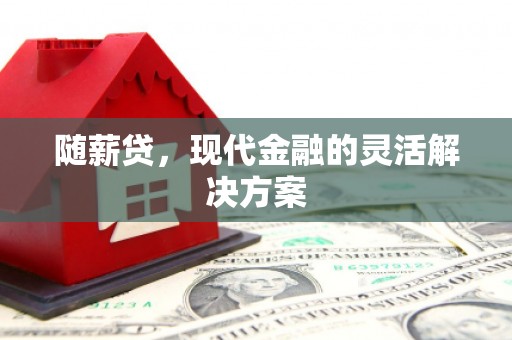 海东随薪贷，现代金融的灵活解决方案