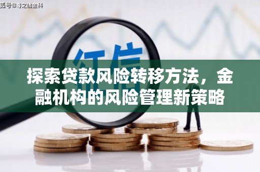 海东探索贷款风险转移方法，金融机构的风险管理新策略