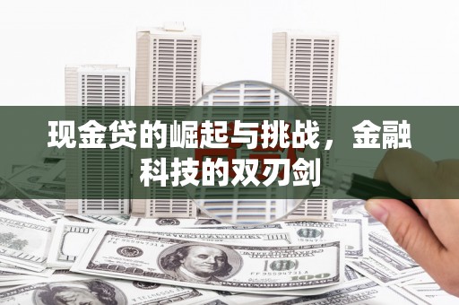 海东现金贷的崛起与挑战，金融科技的双刃剑