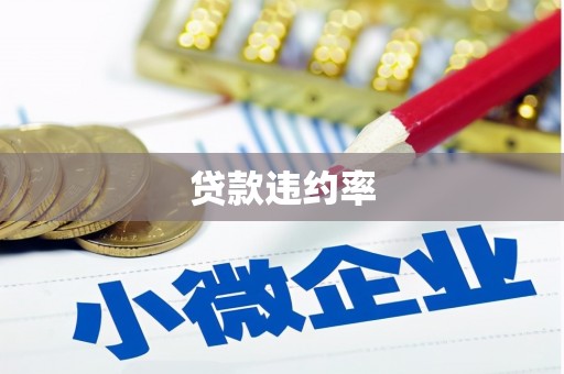 海东贷款违约率