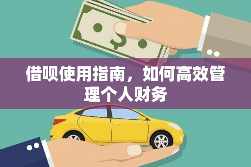 海东借呗使用指南，如何高效管理个人财务