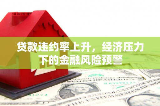 海东贷款违约率上升，经济压力下的金融风险预警