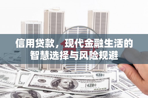 海东信用贷款，现代金融生活的智慧选择与风险规避