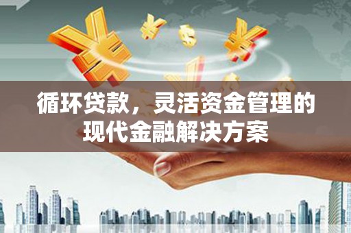 海东循环贷款，灵活资金管理的现代金融解决方案