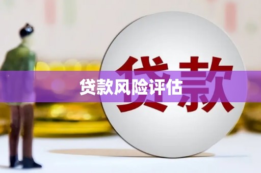 海东贷款风险评估