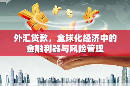 海东外汇贷款，全球化经济中的金融利器与风险管理