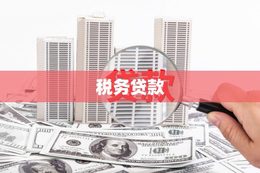 海东税务贷款