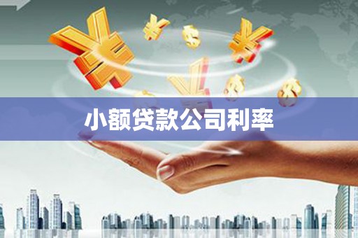 海东小额贷款公司利率