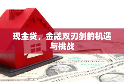 海东现金贷，金融双刃剑的机遇与挑战