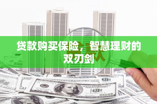 海东贷款购买保险，智慧理财的双刃剑